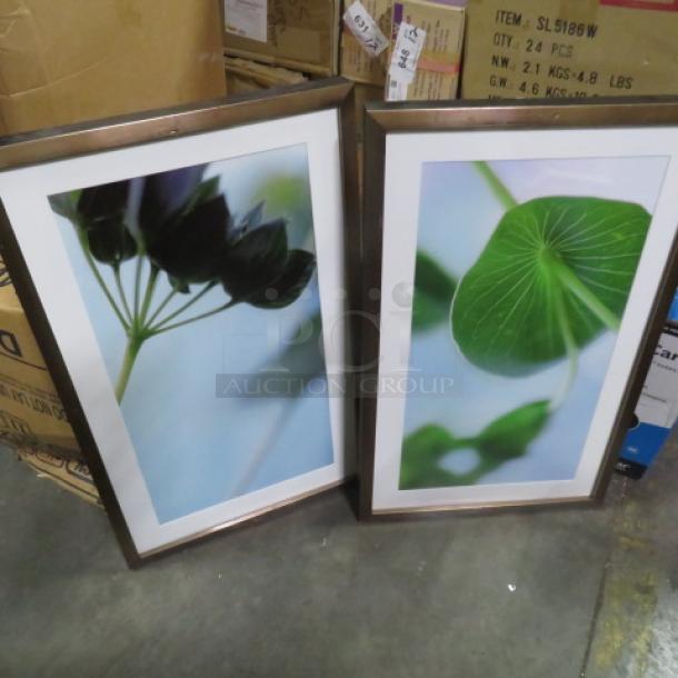 NEW Framed Pictures. 2XBID - Image 1 of 1