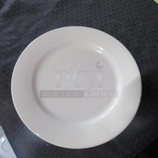 11 Inch World Plate. #PWC-37 10XBID