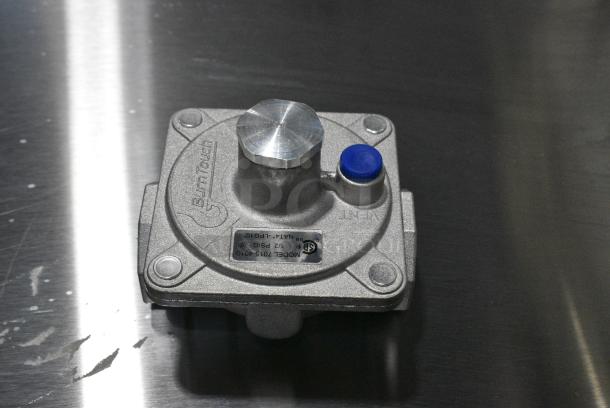 BRAND NEW SCRATCH AND DENT! RGR24P19 Stainless Steel Commercial Countertop Natural Gas Powered Pizza Oven w/ Cooking Stones. 32,000 BTU. - Image 4 of 8