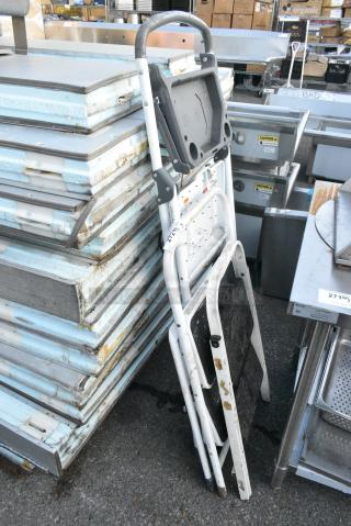 3 Various Ladders. 3 Times Your Bid!