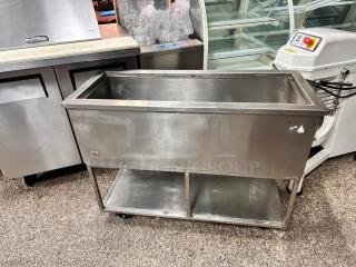 Commercial 40" Portable Ice Bid Good Shape