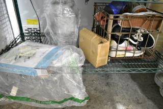 ALL ONE MONEY! Tier Lot of Various Items Including Sneakers