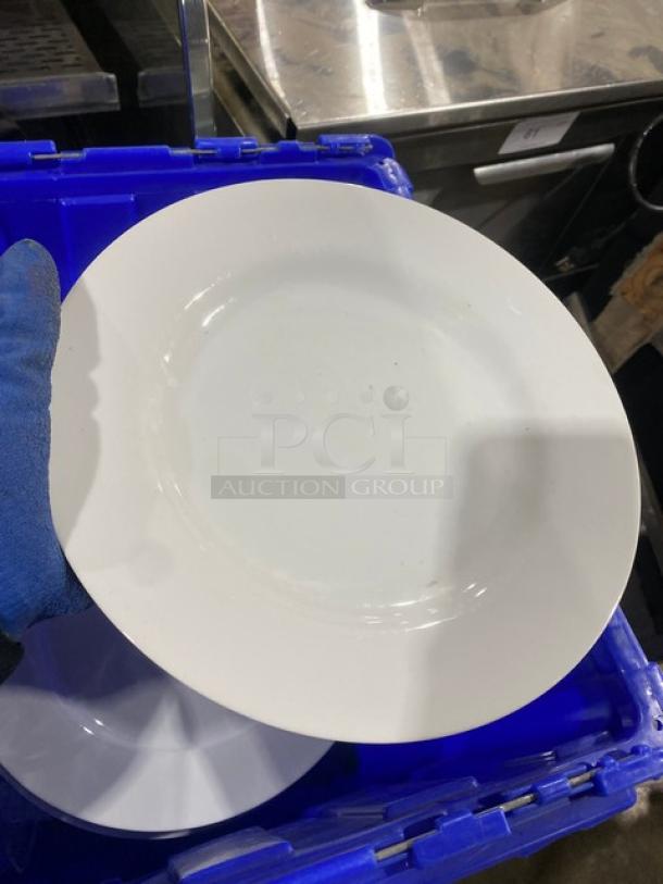 Lot Of Choice Polycarbonate Plate Covers & Strawberry Street Round White Dinner Plates! All One Money! - Image 6 of 8
