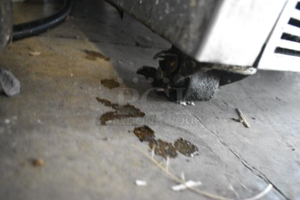 Beverage Air UCRD27A-2-23 Stainless Steel Commercial 2 Drawer Cooler on Commercial Casters. 115 Volts, 1 Phase. Tested and Working! - Image 5 of 6