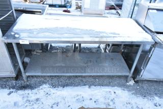 Stainless Steel Table w/ Metal Under Shelf.