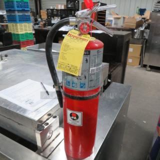 One Buckeye ABC Fire Extinguisher.