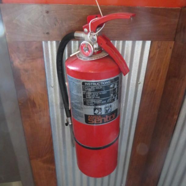 One Sentry ABC Fire Extinguisher. - Image 1 of 1