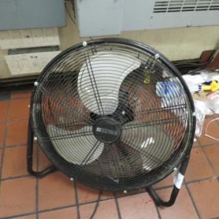 One Utilitech Floor Fan.