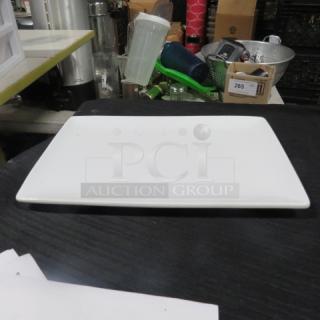 12X8 World Plate. 3XBID