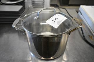 Metal Stock Pot w/ Glass Lid