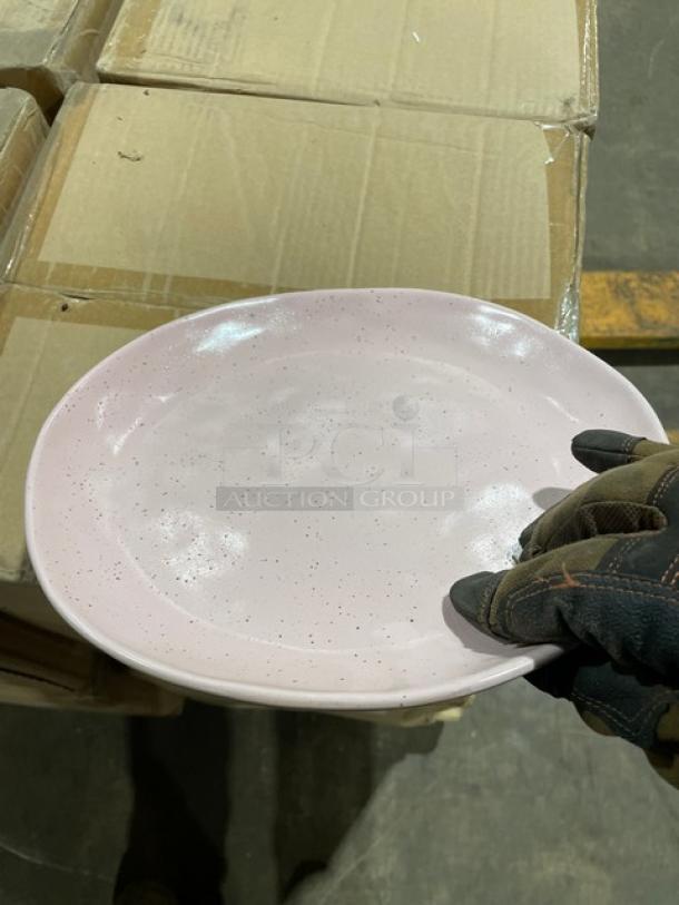 NEW! FULL PALLET! Steelite International Robert Gordon Series Commercial Earth Pink 10" Round Dinner Plates! 12/Case! Model: 6155RG100! ALL NEW IN THE BOX! 17X Your Bid! - Image 9 of 9