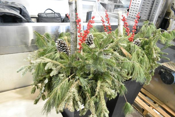 2 Fake Ferns in Planters. 2 Times Your Bid! - Image 2 of 3