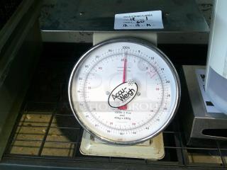 NICE Analog Weighing Scale