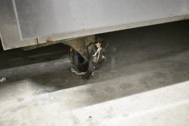 Continental Stainless Steel Commercial 2 Drawer Chef Base on Commercial Casters. 115 Volts, 1 Phase. Tested and Working! - Image 3 of 10