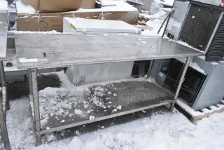 Stainless Steel Table w/ Under Shelf.