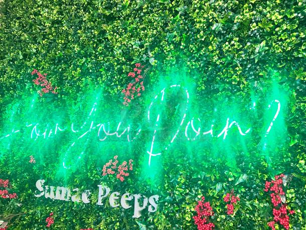 Beautiful LED Sign 'How are you doin?' From Friends Show - Image 3 of 4