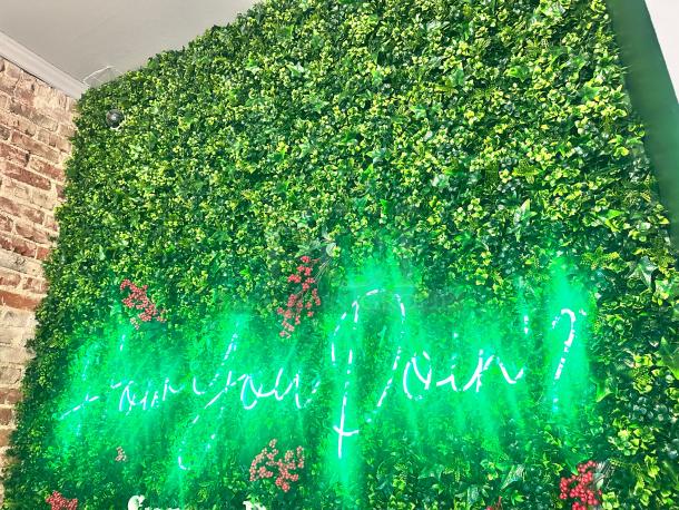 Beautiful LED Sign 'How are you doin?' From Friends Show - Image 4 of 4