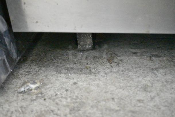 Delfield 406CA-DD1 Stainless Steel Commercial Single Door Undercounter Cooler on Commercial Casters. 115 Volts, 1 Phase. Tested and Powers On But Does Not Get Cold - Image 4 of 6