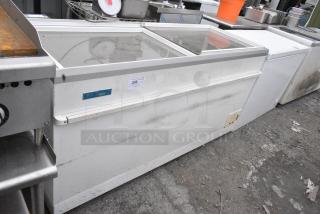 Darby EK60N Metal Chest Freezer Merchandiser. 115 Volts, 1 Phase.