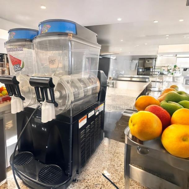 Excellent Bunn Ultra-2 Dual-Bowl Frozen Drink Slush Machine –115V  Tested & Working! - Image 1 of 16