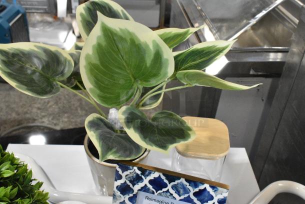 ALL ONE MONEY! Lto of Various Items Including Decorations and Fake Plants - Image 12 of 13