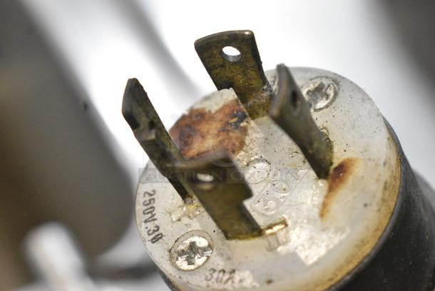 Electrolux Stainless Steel Commercial Electric Powered Floor Style Pasta Cooker. 208/240 Volts, 1 Phase. - Image 6 of 12