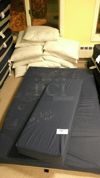 (1) BED MATRESSES, (10) WIPEABLE PILLOWS