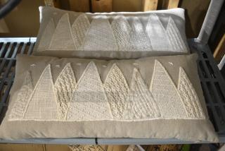 2 Pillows. 2 Times Your Bid!
