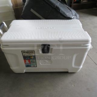 One Igloo Cooler.