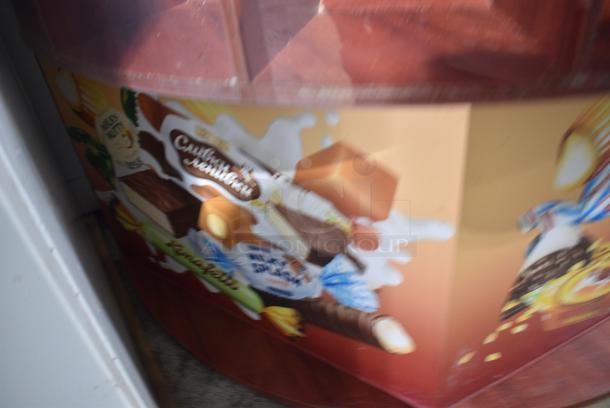 Floor Style Dry Display Case Merchandiser. - Image 6 of 7