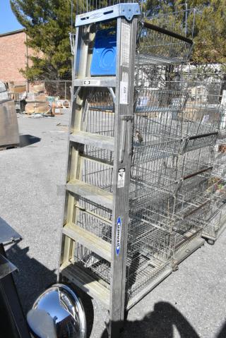 Werner 6' 250 Pound Capacity A Frame Ladder