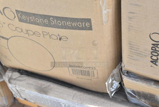 26 BRAND NEW SCRATCH AND DENT! Items Including 303PNG22GN Acopa Pangea 22 oz. Sage Matte Porcelain Pasta Bowl - 12/Case, 303VBCOPP21 Acopa Keystone 12 1/2" Vanilla Bean Stoneware Coupe Plate - 12/Case, 247PG1022FH Vigor 11" x 23" Portable Steel Griddle. 26 Times Your Bid! - Image 6 of 14