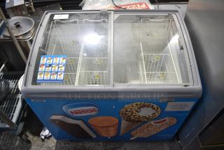 AHT RIO S 100 Metal Commercial 2 Door Chest Freezer Merchandiser w/ Baskets. 115 Volts, 1 Phase. Tested and Working!