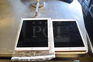 2 Tablets Including Apple A2197 iPad, Apple A1701 iPad. 2 Times Your Bid!