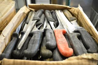 70 SHARPENED Stainless Steel Knives Including Bread Knife. 70 Times Your Bid!