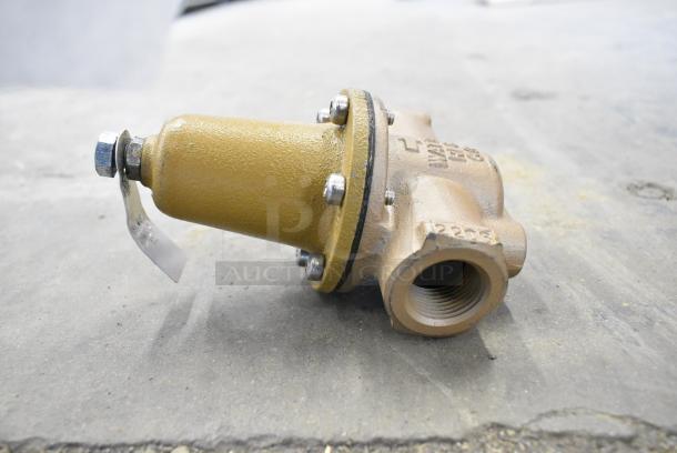 IN ORIGINAL BOX! Watts LFN250B FPT Pres Regulator - Image 5 of 8