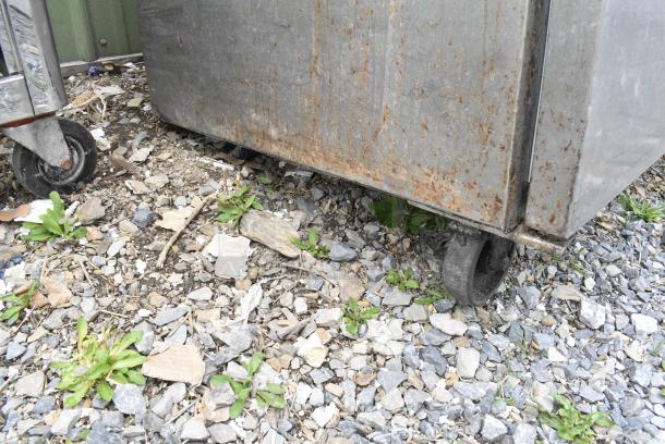 2021 Hoshizaki SR48A-8 Stainless Steel Commercial Sandwich Salad Prep Table Bain Marie Mega Top on Commercial Casters. 115 Volts, 1 Phase. Tested and Powers On But Does Not Get Cold - Image 3 of 7