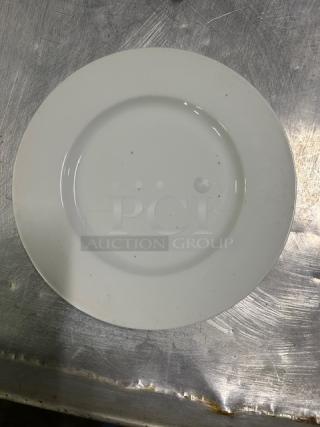 8.5 Inch Salad Plate. 9XBID