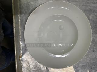 11 Inch Pasta/Big Salad Bowl. 10XBID