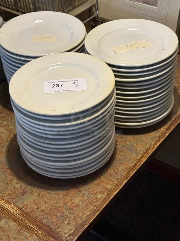 9" Bright White Wide Rim Rolled Edge Stoneware Plate 
48xBid - Image 1 of 1