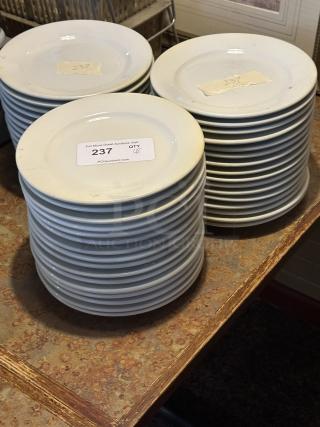 9" Bright White Wide Rim Rolled Edge Stoneware Plate 
48xBid
