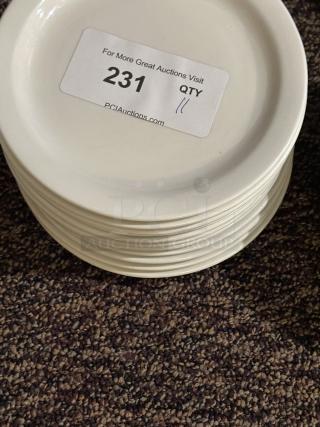 8 1/4" Bright White Wide Rim Rolled Edge Stoneware Plate
11xBid