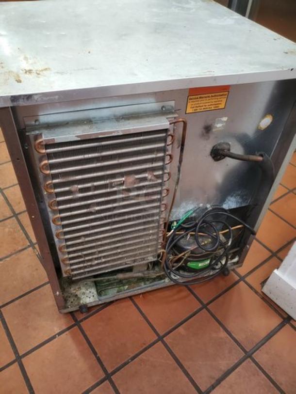 Delfield 406CA-DD1 Undercounter Refrigerator. 115 V, 60 Hz, 7A, Nice Condition. - Image 4 of 6