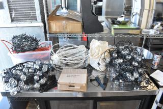 ALL ONE MONEY! Lot of Various Items Including String Lighting and Light Bulbs