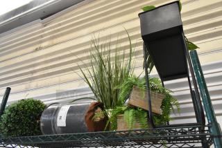 ALL ONE MONEY! Lot of Fake Plants.