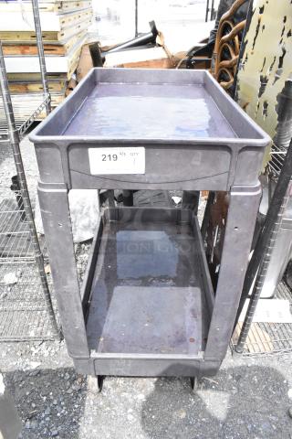 Gray Poly 2 Tier Cart on Commercial Casters.
