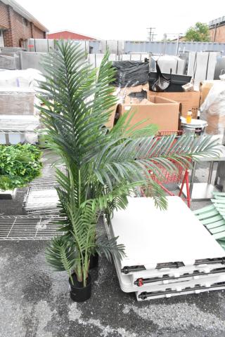 2 Fake Plants. 2 Times Your Bid!