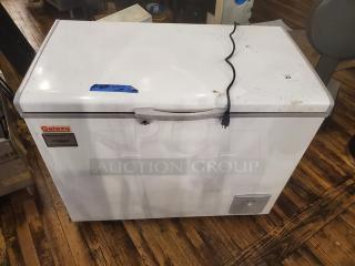Galaxy Commercial Chest Freezer. Good Working Condition.