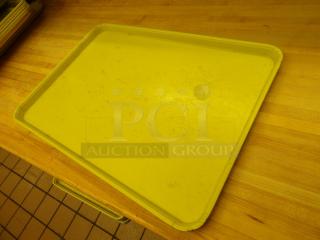 Plastic Display Trays, yellow in color, 5 trays
5 x your bid
