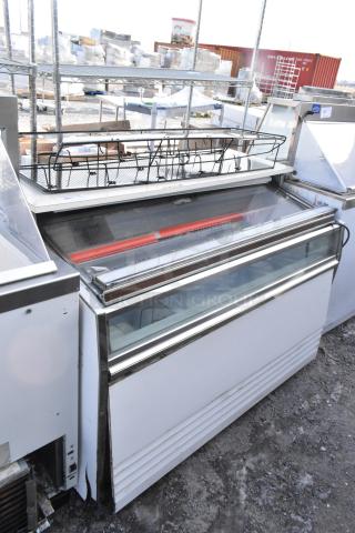Commercial novelty ice cream freezer merchandiser, 115 volts, 1 phase, glass sliding doors, metal frame, outdoor setting.